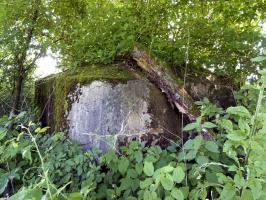 Ligne Maginot - BA61 - LE VOSGIAT OUEST - (Blockhaus pour canon) - 