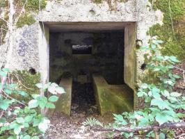 Ligne Maginot - BA61 - LE VOSGIAT OUEST - (Blockhaus pour canon) - 