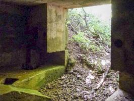 Ligne Maginot - BA61 - LE VOSGIAT OUEST - (Blockhaus pour canon) - 