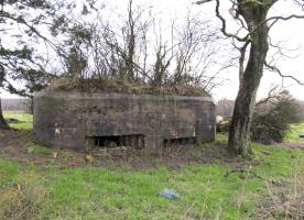 Ligne Maginot - BA57 - LA SONGIÈRE OUEST - (Blockhaus pour canon) - 