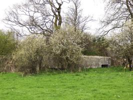 Ligne Maginot - BA57 - LA SONGIÈRE OUEST - (Blockhaus pour canon) - 
