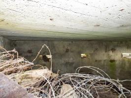 Ligne Maginot - BA57 - LA SONGIÈRE OUEST - (Blockhaus pour canon) - 