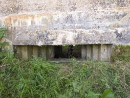 Ligne Maginot - BA56 - LA SABLONNIÈRE - (Blockhaus pour canon) - 