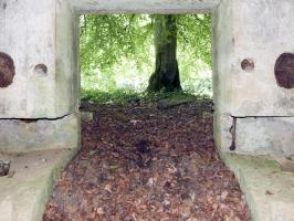 Ligne Maginot - BA56 - LA SABLONNIÈRE - (Blockhaus pour canon) - 