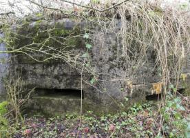 Ligne Maginot - BA65 - CHATEAU BLANC - (Blockhaus pour canon) - 