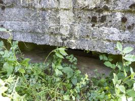 Ligne Maginot - BA65 - CHATEAU BLANC - (Blockhaus pour canon) - 