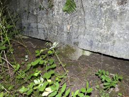 Ligne Maginot - BA65 - CHATEAU BLANC - (Blockhaus pour canon) - 