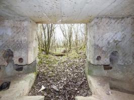Ligne Maginot - BA66 - LES AISEMENTS EST - (Blockhaus pour canon) - 
