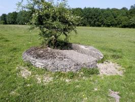 Ligne Maginot - BA66BIS - ANCIENNES CARRIÈRES SUD - (Cuve pour arme d'infanterie) - 