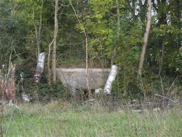 Ligne Maginot - BA67 - ROUTE DE FOURCHEMAQUE NORD - (Blockhaus pour canon) - 