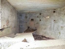 Ligne Maginot - BA67 - ROUTE DE FOURCHEMAQUE NORD - (Blockhaus pour canon) - 
