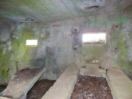 Ligne Maginot - BA70 - PONT DU MAMELOT OUEST - (Blockhaus pour canon) - 