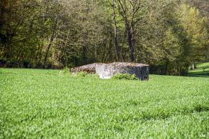 Ligne Maginot - T76 - BOIS DES AUVENELLES NORD - (Cuve pour arme d'infanterie) - 