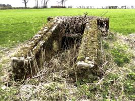 Ligne Maginot - T76 - BOIS DES AUVENELLES NORD - (Cuve pour arme d'infanterie) - 