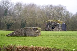 Ligne Maginot - T77 - BOIS DES AUVENELLES SUD - (Cuve pour arme d'infanterie) - 