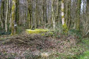 Ligne Maginot - T81 - HUTUTU NORD - (Cuve pour arme d'infanterie) - 