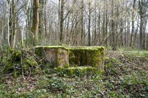 Ligne Maginot - T81 - HUTUTU NORD - (Cuve pour arme d'infanterie) - 