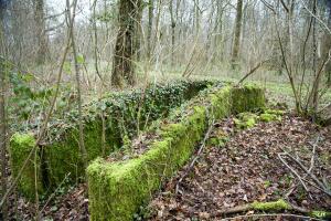 Ligne Maginot - T83 - HUTUTU SUD-OUEST - (Cuve pour arme d'infanterie) - 