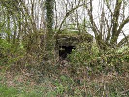Ligne Maginot - BA71 - LES BERNES - (Blockhaus pour canon) - 