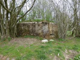 Ligne Maginot - BA71 - LES BERNES - (Blockhaus pour canon) - 