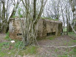 Ligne Maginot - BA71 - LES BERNES - (Blockhaus pour canon) - 