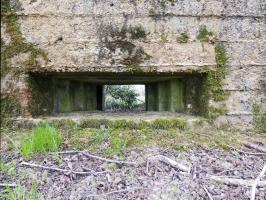 Ligne Maginot - BA71 - LES BERNES - (Blockhaus pour canon) - 