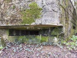 Ligne Maginot - BA71 - LES BERNES - (Blockhaus pour canon) - 