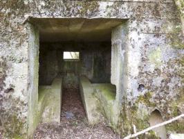 Ligne Maginot - BA71 - LES BERNES - (Blockhaus pour canon) - 