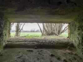 Ligne Maginot - BA71 - LES BERNES - (Blockhaus pour canon) - 