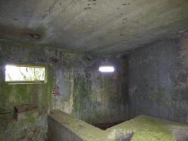 Ligne Maginot - BA71 - LES BERNES - (Blockhaus pour canon) - 