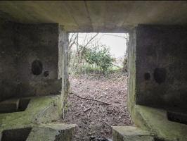Ligne Maginot - BA71 - LES BERNES - (Blockhaus pour canon) - 