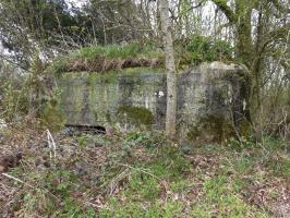 Ligne Maginot - BA75 - TAILLETTE OUEST - (Blockhaus pour canon) - 