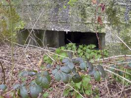 Ligne Maginot - BA75 - TAILLETTE OUEST - (Blockhaus pour canon) - 