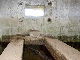 Ligne Maginot - BA74 - LE ROUILLY - (Blockhaus pour canon) - 