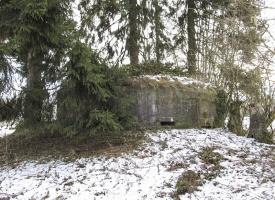 Ligne Maginot - BA72 - PONT DU MAMELOT EST - (Blockhaus pour canon) - 