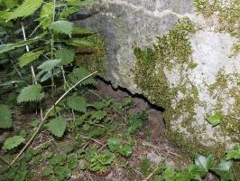 Ligne Maginot - BA72 - PONT DU MAMELOT EST - (Blockhaus pour canon) - 