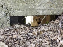 Ligne Maginot - BA78 - LE PAQUIS - (Blockhaus pour canon) - 