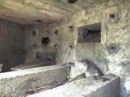 Ligne Maginot - BA78 - LE PAQUIS - (Blockhaus pour canon) - 