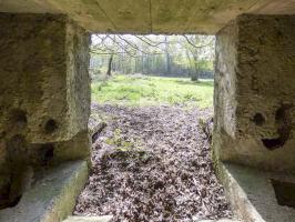 Ligne Maginot - BA78 - LE PAQUIS - (Blockhaus pour canon) - 