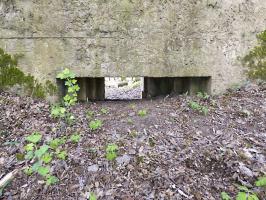 Ligne Maginot - BA79 - CROIX PESSET - (Blockhaus pour canon) - 