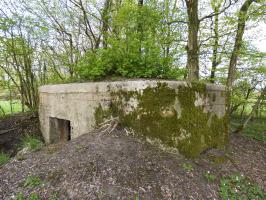 Ligne Maginot - BA79 - CROIX PESSET - (Blockhaus pour canon) - 