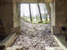 Ligne Maginot - BA79 - CROIX PESSET - (Blockhaus pour canon) - 