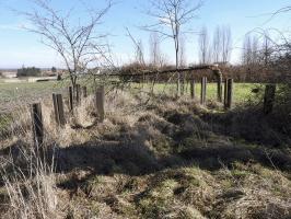 Ligne Maginot - LES CHATS 1 - FT - (Blockhaus pour arme infanterie) - Le réseau anti-char à proximité du point d'appui, en direction de la chambre de coupure voisine