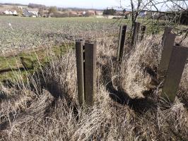 Ligne Maginot - LES CHATS 1 - FT - (Blockhaus pour arme infanterie) - Le réseau anti-char à proximité du point d'appui, en direction de la chambre de coupure voisine