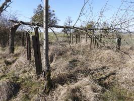 Ligne Maginot - LES CHATS 1 - FT - (Blockhaus pour arme infanterie) - Le réseau anti-char à proximité du point d'appui, en direction de la chambre de coupure voisine