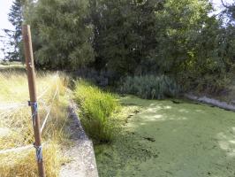 Ligne Maginot - HIRBACH - STANGENWALD (RETENUE DE) - (Inondation défensive) - Cône de régulation de la déversoir vers le zone d'inondation