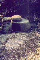 Ligne Maginot - NONNENWALD 1 (Blockhaus pour arme infanterie) - 