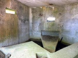Ligne Maginot - BA85 - CENSE BLANZY - (Blockhaus pour canon) - 