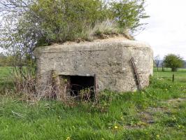 Ligne Maginot - BA86 - CENSE AU SEL - (Blockhaus pour canon) - 