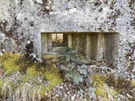Ligne Maginot - BA89 - MOULIN LACAILLE - (Blockhaus pour canon) - Face frontale, créneau Obs/FM